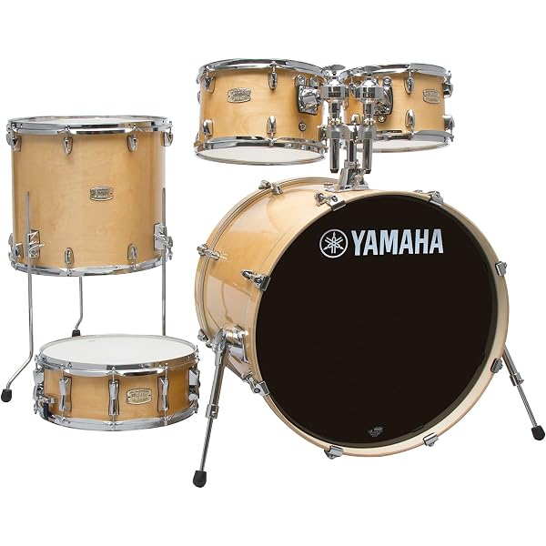 Amazon.com: Latin Percussion LP3012-SM LP Stanton Moore Pandeiro